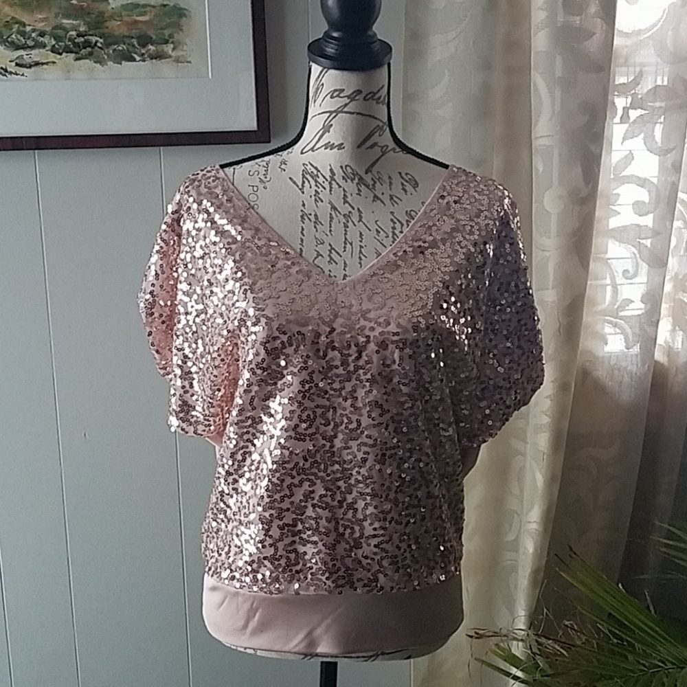NWT Express blush colored sequined top